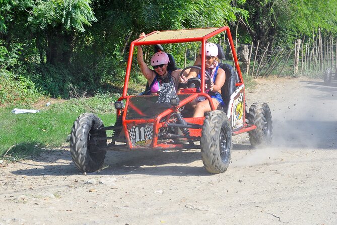 Shore Excursion Cruise ship Waterfalls y Buggys - Who should book this Puerto Plata excursion?