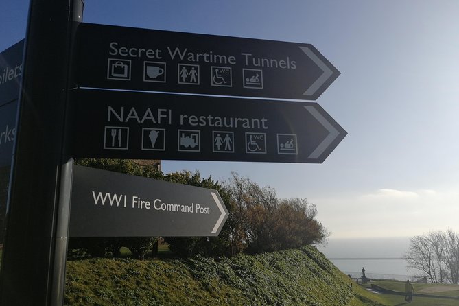 Shore Excursion: Dover Cruise Terminal to London with Stopover at Dover Castle - Should you book this Dover to London tour?