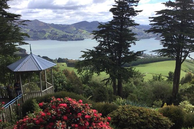 Shore Excursion: Dunedin City, Otago Peninsula, Castle Gardens & Olveston Tour - A well-planned six hours from Port Chalmers