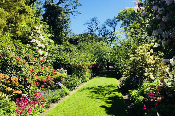 Shore Excursion: Dunedin City, Otago Peninsula, Castle Gardens & Olveston Tour - The Botanic Garden adds a quiet break