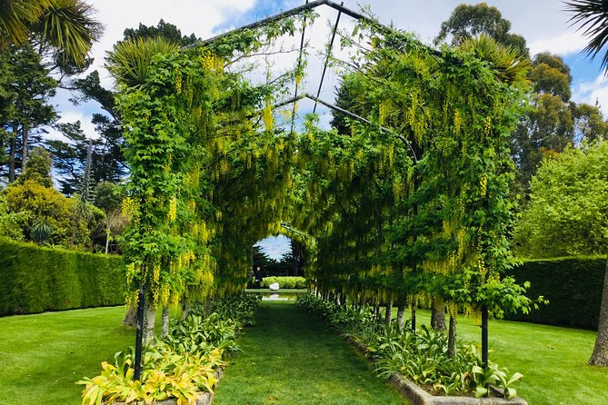 Shore Excursion: Dunedin City, Otago Peninsula, Castle Gardens & Olveston Tour - The Otago Peninsula drive is the scenic heart of the day