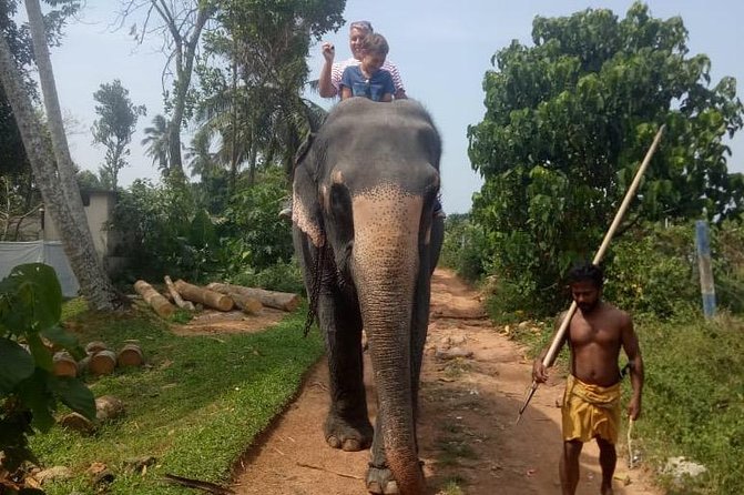 Shore Excursion From Colombo port to Ingiriya Tea Plantation & back for 2 People - Tea plucking and manufacturing, with realistic expectations