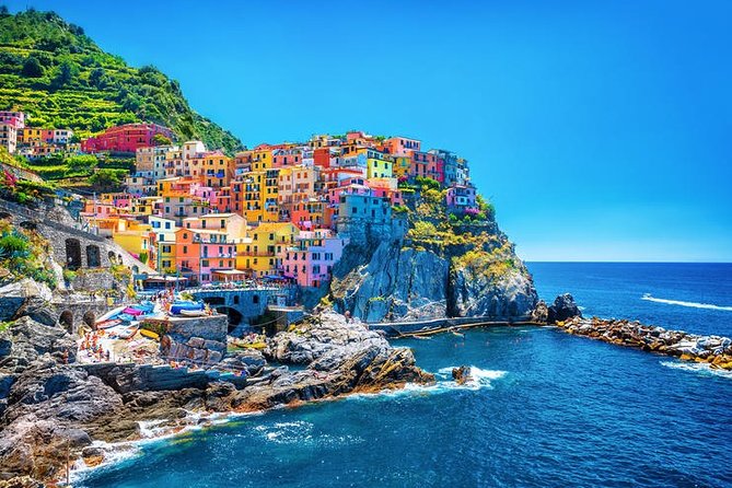 Shore Excursion from Livorno: Cinque Terre and Pisa independent private tour - The private minivan and port timing