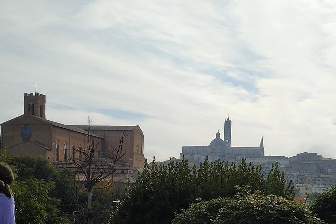 Shore excursion from Livorno to Siena and San Gimignano by private minivan - The Gothic beauty of Siena