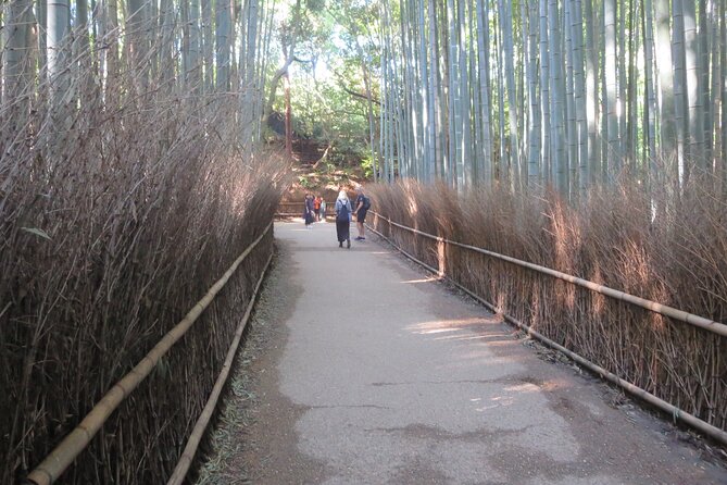 Shore excursion: Full Day Private Kyoto Tour From Osaka/Kobe Port - Guides can make or break the day