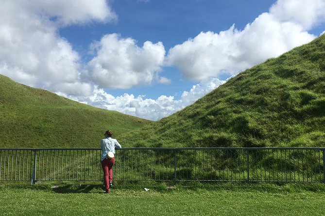 Shore Excursion: Half-Day Auckland Volcanoes Tour - Walking, weather, and comfort on the morning