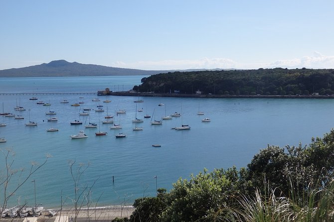 Shore Excursion: Half Day Small Group Auckland Scenic Tour - 4 HOURS - Why this four-hour Auckland tour works well
