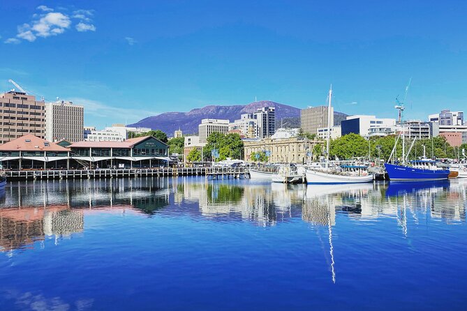 Shore Excursion: Hobart Highlights Day Tour - Is $107.59 good value?