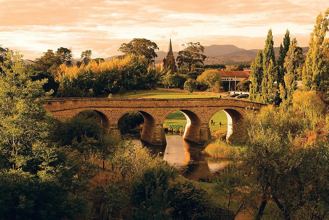 Shore Excursion: Hobart Highlights Day Tour - Salamanca Market on Saturdays