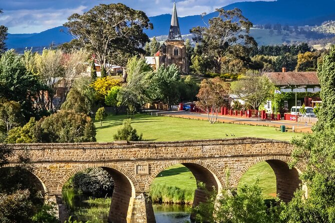 Shore Excursion: Hobart Wanderer - Comfort, timing, and the van