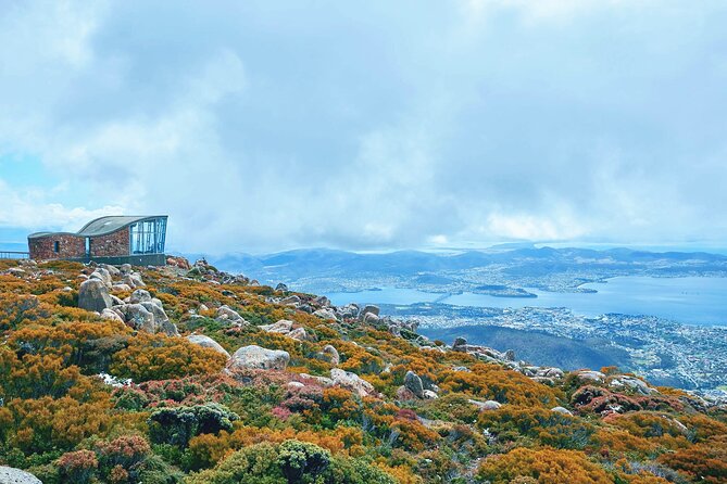 Shore Excursion: Hobart Wanderer - Hobart streets and a first lesson in Tasmania