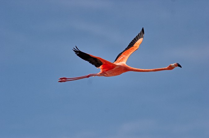 Shore Excursion Island Tour with Cultural Museum with beach drop off - Is $75.50 a fair price?