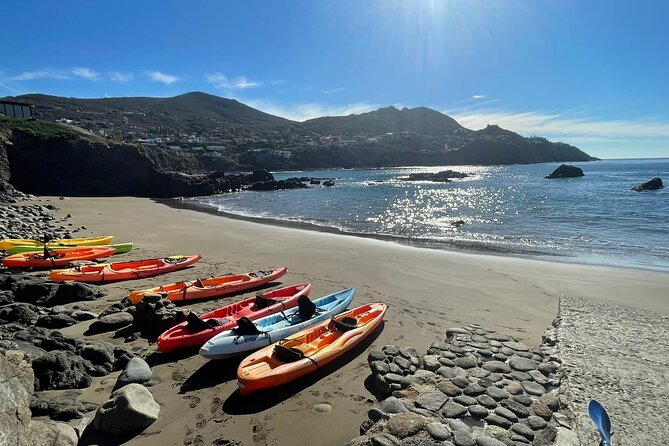 Shore Excursion: La Bufadora Blowhole, Kayak Adventure & Markets - Key points to know before booking