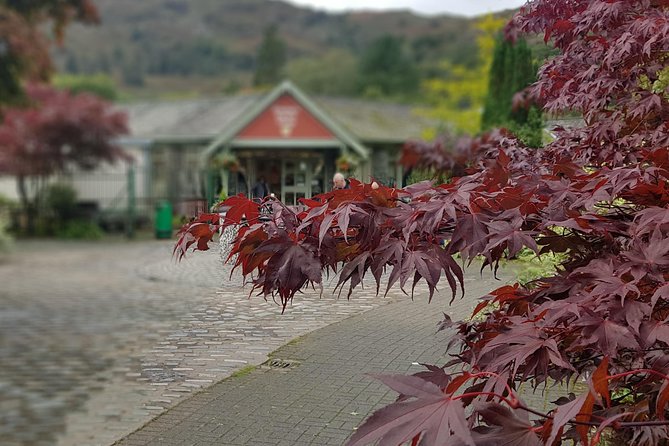 Shore Excursion: Lake District Adventure Sightseeing Day Trip from Liverpool - Is $108.13 good value?