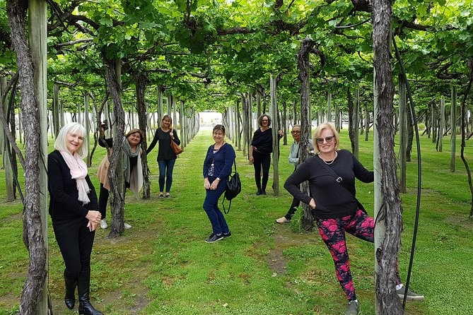 Shore Excursion Marlborough Wine Region Tour from Picton - Who will enjoy this tour most?