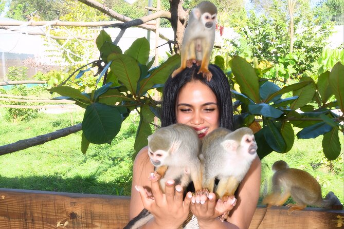 Shore Excursion Monkey Encounter and Puerto Plata City Tour - Starting With Puerto Plata’s Colorful Streets