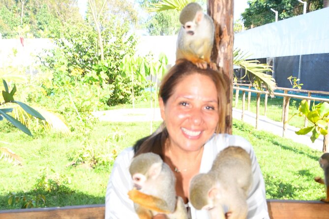 Shore Excursion Monkey Encounter and Puerto Plata City Tour - San Felipe Fortress and the City’s Spanish Past