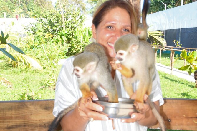Shore Excursion Monkey Encounter and Puerto Plata City Tour - Who Will Like This Tour Most