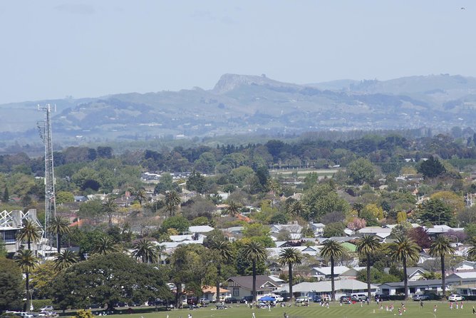 Shore Excursion: Napier and Surrounding Countryside Scenic Tour - A quick way to get your bearings in Napier