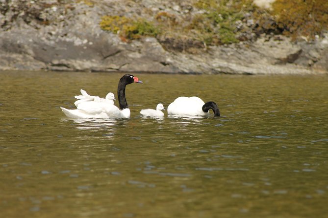 Shore Excursion - National Park Tierra del Fuego - Group size is the biggest question mark
