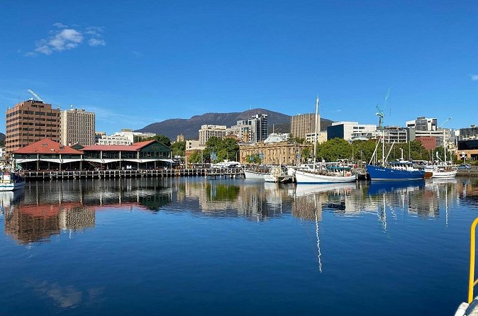Shore Excursion: Nipaluna (Hobart) Highlights - Who should book this Hobart shore excursion?