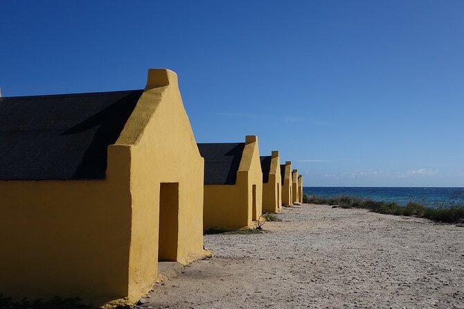 Shore Excursion: North and South Sides of Bonaire - Rincon, local museums, and cactus liqueur