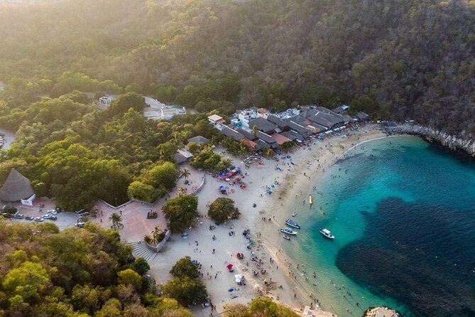 Shore Excursion Premium Family Snorkeling Experience - Key points to know before you book