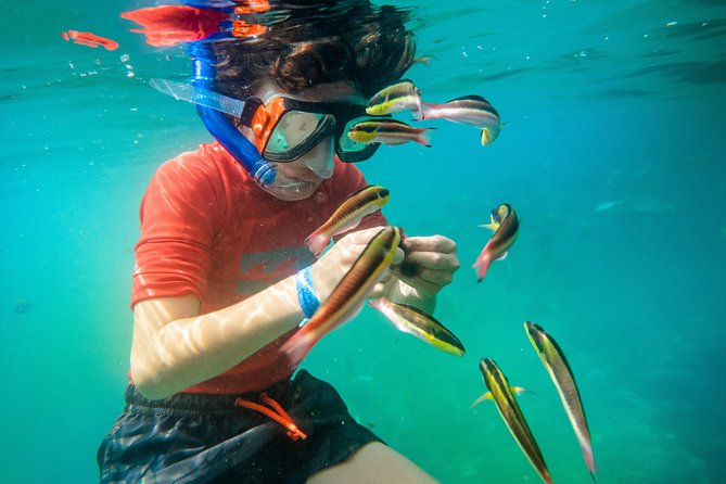 Shore Excursion Premium Family Snorkeling Experience - A good choice for mixed abilities