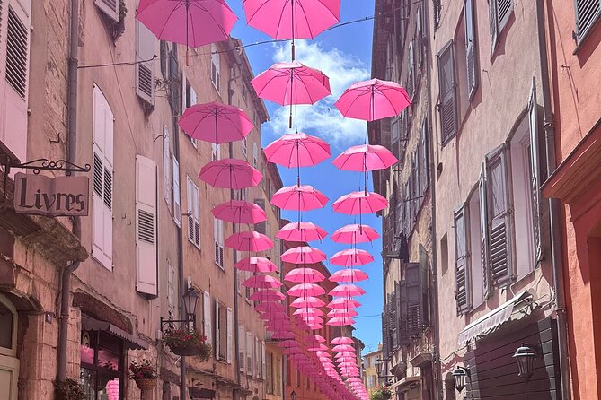 Shore Excursion Private Tour from Cannes - What the private format is really worth