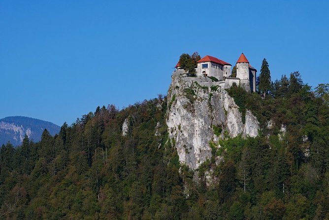 Shore Excursion/Private Tour - Lake Bled and Ljubljana from Koper - Ljubljana old town: bridges, churches, and a relaxed walk
