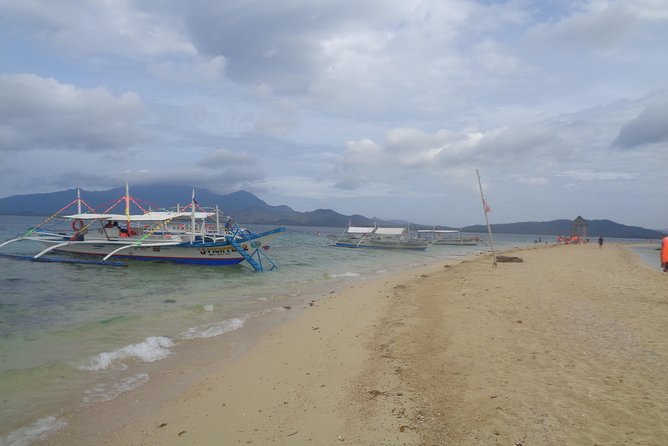 Shore excursion: Puerto Princesa Island Hopping Tour - Starfish Island: The Best Reason to Bring a Mask