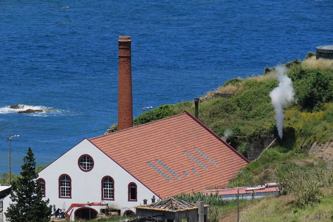Shore Excursion - Santana & Peaks 4x4 tour - Faial brings the route back to everyday Madeira
