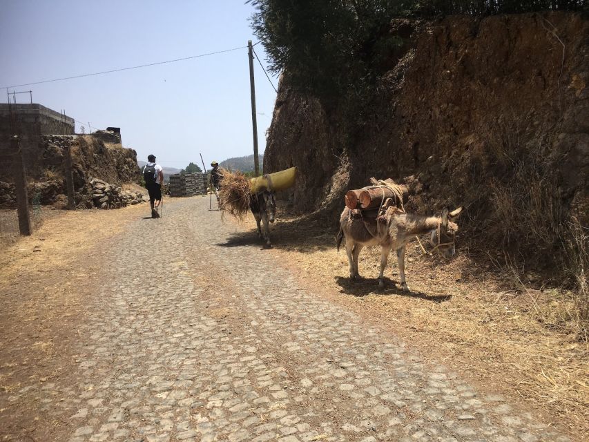 Shore Excursion, Santo Antão, Full Day, Highlights by car - Ribeira de Torre, where farming fills the valley