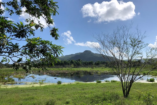 Shore Excursion: V.I.P. DayPass: ATV, Zip Lines, Horseback Riding & Lunch - Who will get the most from this day pass