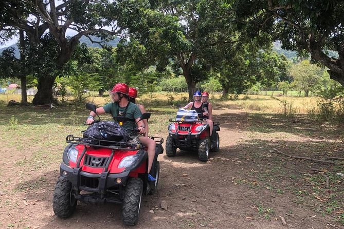 Shore Excursion: V.I.P. DayPass: ATV, Zip Lines, Horseback Riding & Lunch - Meeting up after your ship arrives