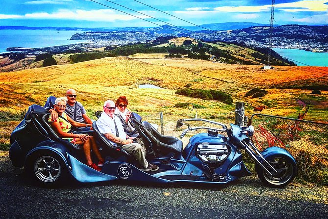 Shore Excursion: V8 Trike, Peninsula and City Tour - Out to Otago Peninsula for harbor and beach views