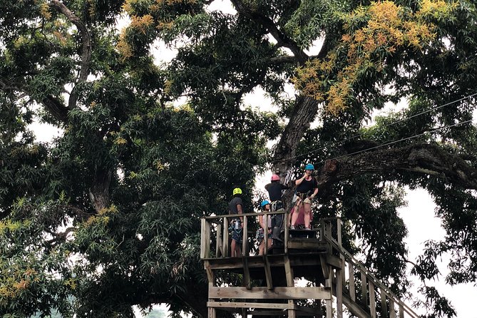 Shore Excursion: Zip Line Adventure - Practical tips for a smoother ride