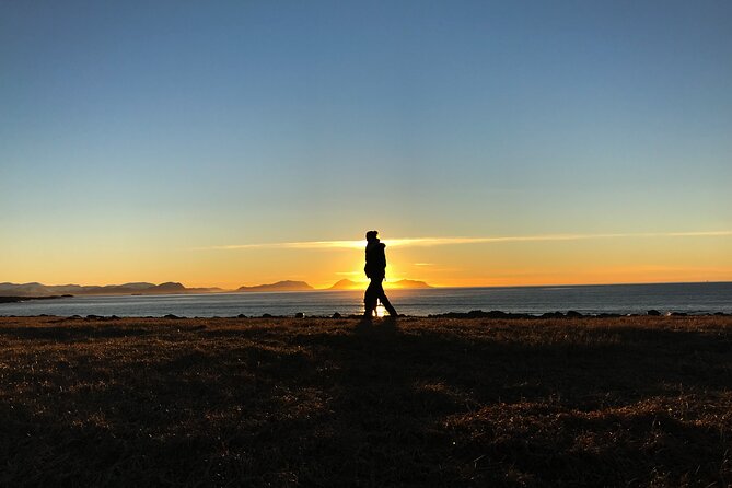 Shore Excursions Ålesund: Highlights Ålesund & Islands - Mount Aksla without the 418-step climb