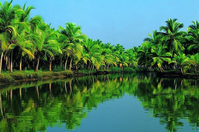 Shore Excursions from Cochin Cruise Terminal - Price, group size, and what you receive