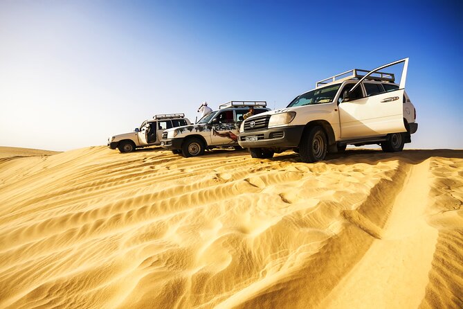 Shore Excursions of Dubai City Tour followed by Desert Safari - Camel rides and the Bedouin camp
