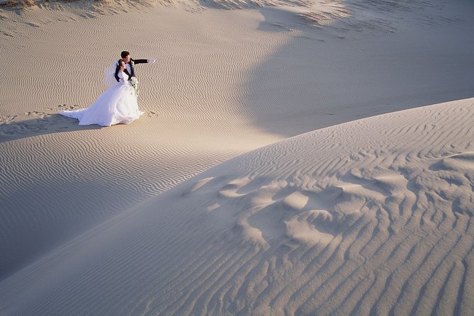 Shore Excursions of Dubai City Tour followed by Desert Safari - Is $150 a fair price?