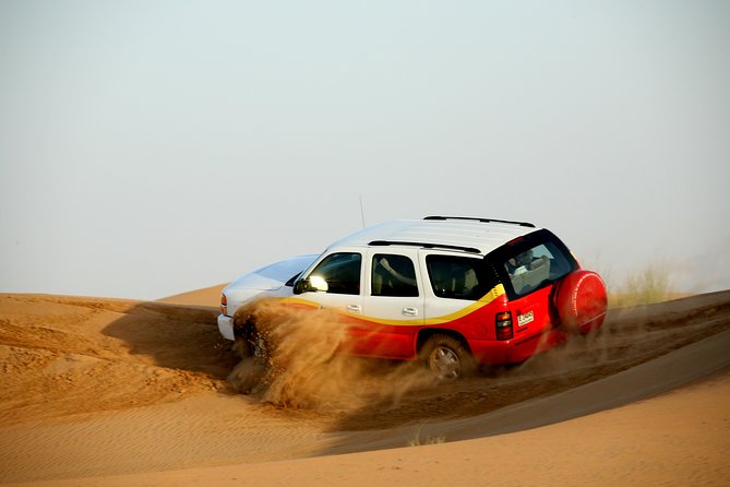 Shore Excursions of Dubai City Tour followed by Desert Safari - Who will enjoy this most?