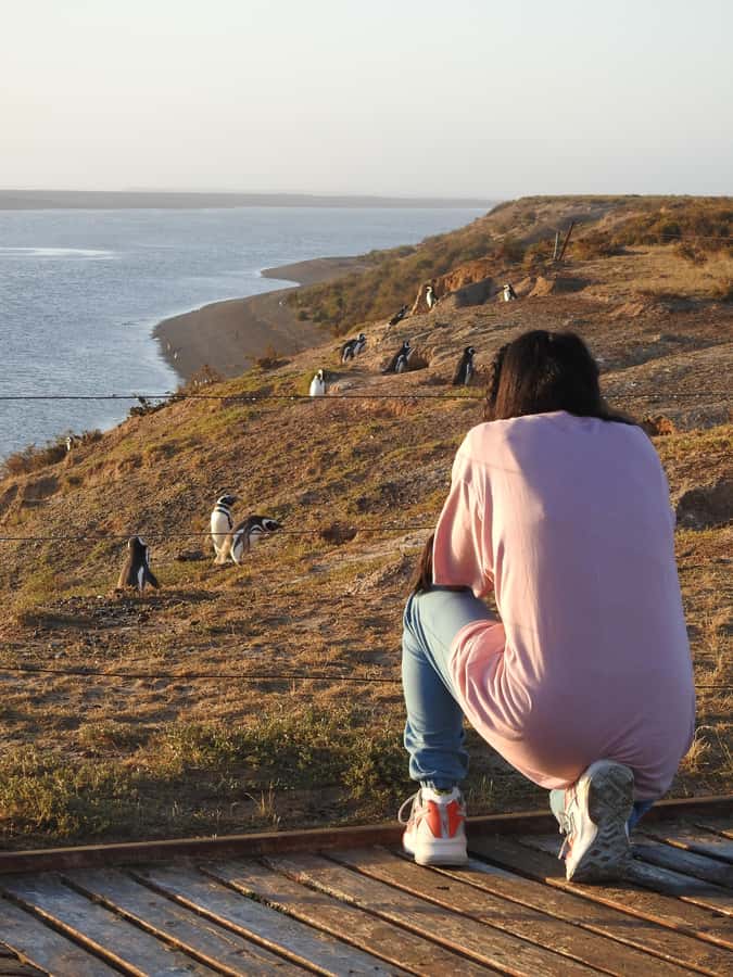 Shore Tours Peninsula Valdes Puerto Madryn Cruise Passengers - Guides, driving, and the feel of the day