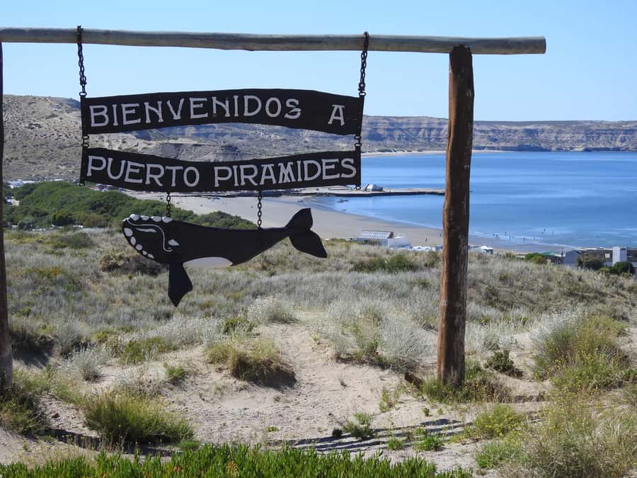 Shore Tours Peninsula Valdes Puerto Madryn Cruise Passengers - The first hour: heading toward El Desempeño