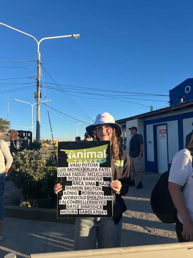 Shore Tours Peninsula Valdes Puerto Madryn Cruise Passengers - Caleta Valdés and Punta Cantor: the main wildlife section
