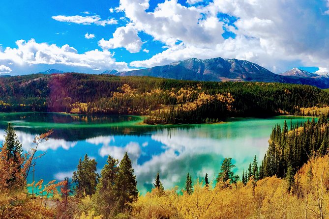 Skagway Shore Excursion: Full-Day Tour of the Yukon - Five reasons this Yukon day trip works