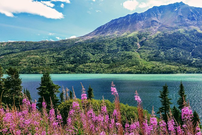 Skagway Shore Excursion: Full-Day Tour of the Yukon - Leaving Skagway by minibus