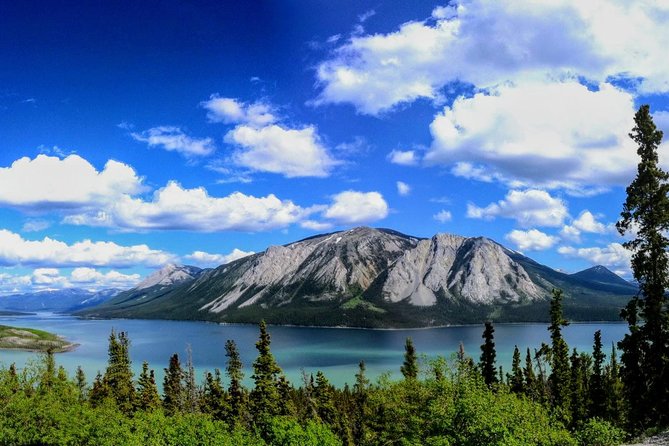 Skagway Shore Excursion: Full-Day Tour of the Yukon - Tagish Lake and the international border
