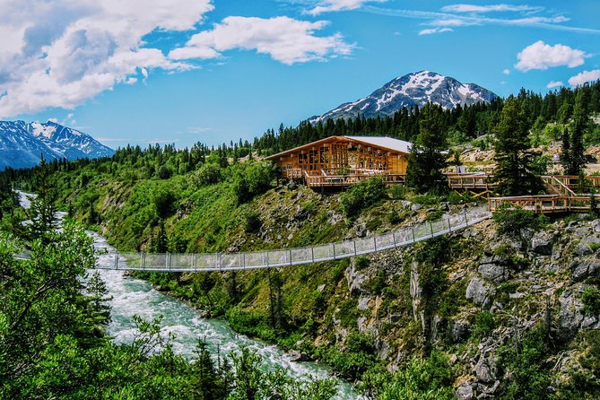 Skagway Shore Excursion: Half-Day Tour to the Yukon Border and Suspension Bridge - Why this four-hour ride makes sense from Skagway