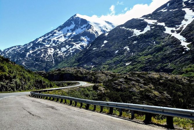 Skagway Shore Excursion: Half-Day Tour to the Yukon Border and Suspension Bridge - White Pass Summit and Tormented Valley